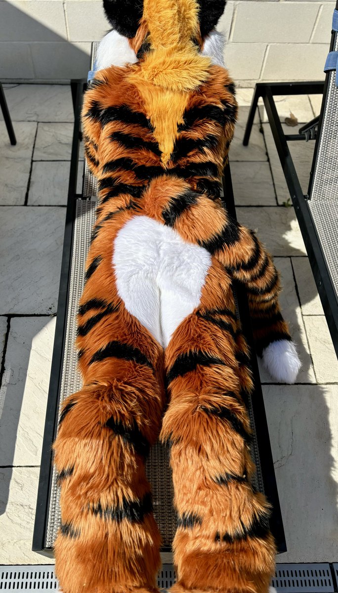 LeonRoche_fur's tweet photo. ☀️ Just doin a bit of sunbathing ☀️ https://t.co/n14v4cYcUN