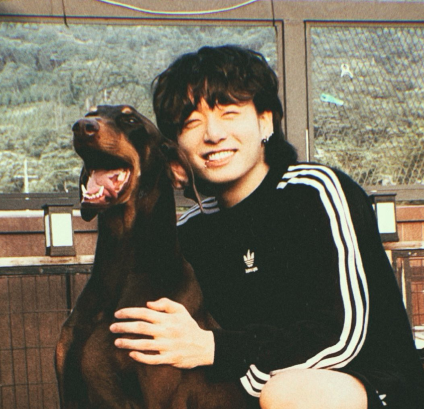 AboutMusicYT's tweet photo. Jungkook has opened an IG account for his dog (bowwow_bam).

- The account has already over 1.8M followers. https://t.co/5Sf9Y1gj7t