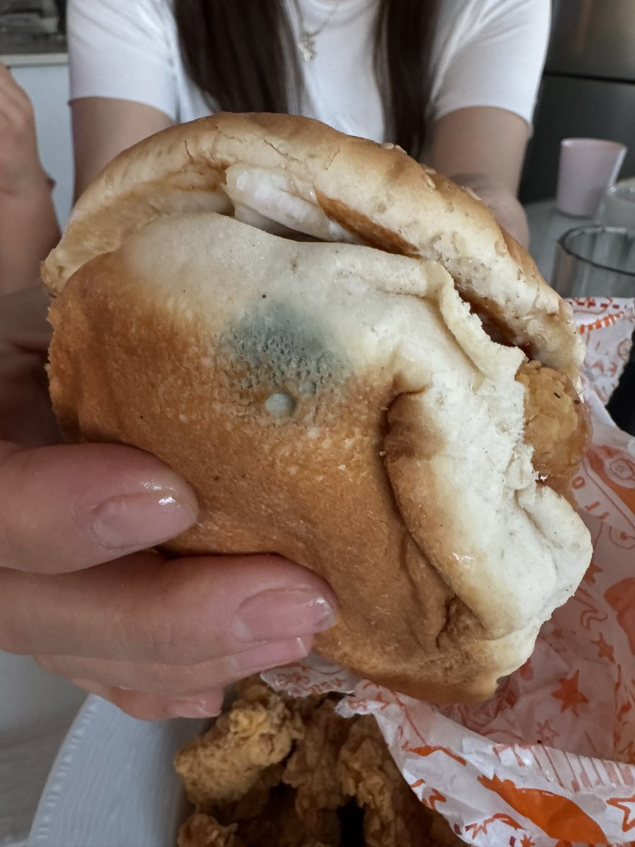 mehmetc07's tweet photo. Evde çocuklara hamburger söylersin ve koskoca diye düşündüğümüz firmalar size küflü hamburger yollasın harikasınız, sonra küflü olanı yenisi ile değiştirelim diyorlar. Benim çocuklarım bir daha sizden gelen hiçbir şeyi yemez @PopeyesTR @Popeyes @yemeksepeti https://t.co/WcEseQwycj