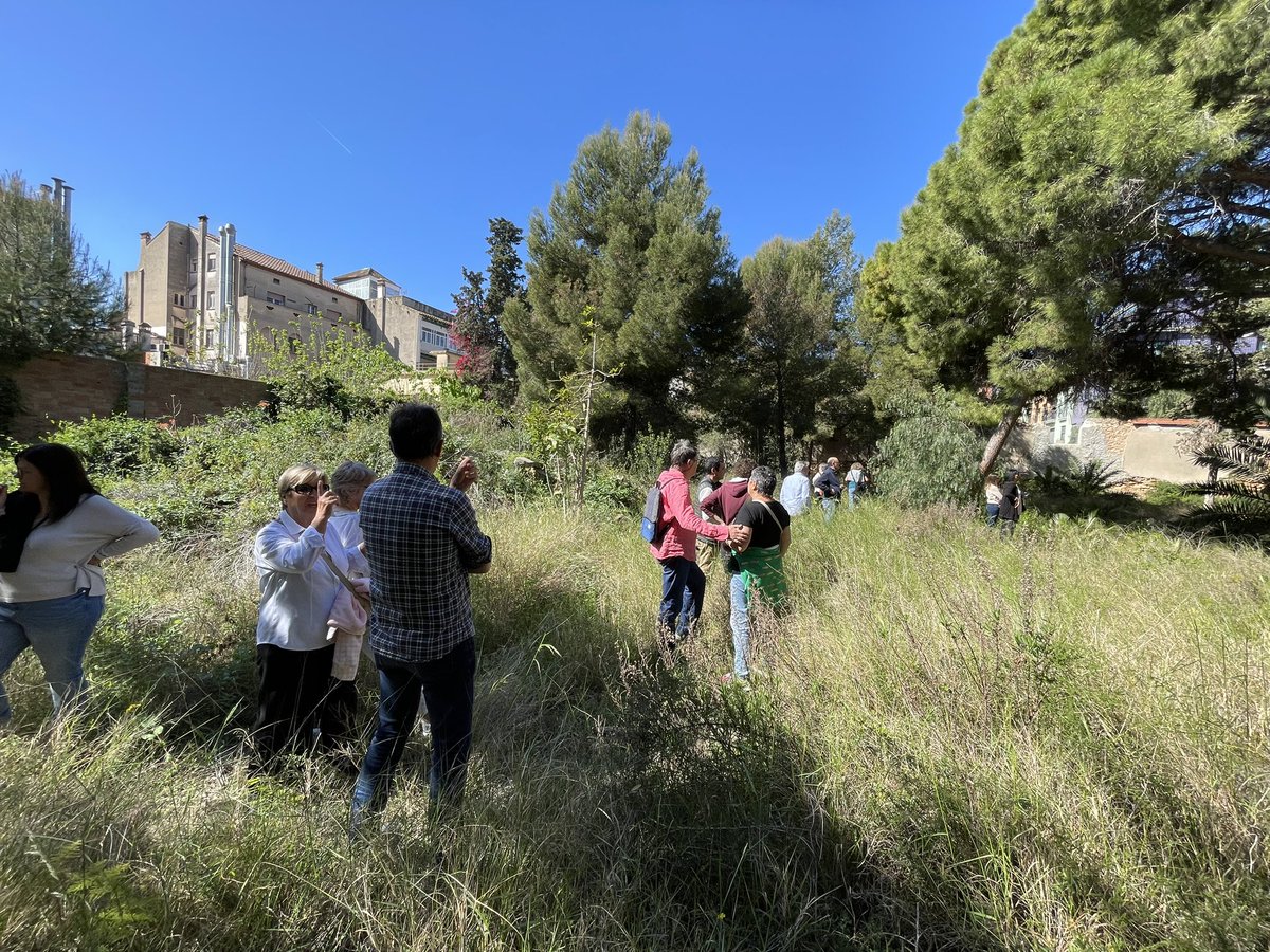 Presentació del Projecte “El Jardí de les olors”. Una molt bona proposta per recuperar “El bosquet de Baix a Mar”un espai singular i de gran valor del nostre Barri. @ApmaGarraf @ajuntamentvng