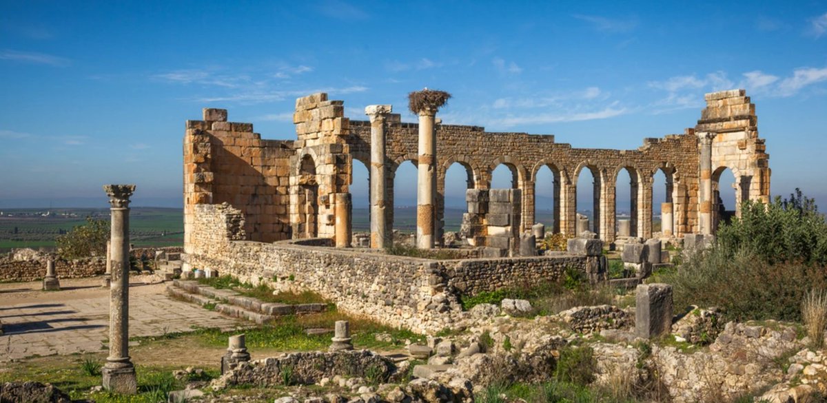 A small number of bursaries are available for the summer school. Preference will be given to applicants who would not be otherwise able to attend. Please email helenmcveigh@gmail.com. Summer school info here: helenmcveigh.co.uk/product/belfas… 🏛 Volubilis, Morocco