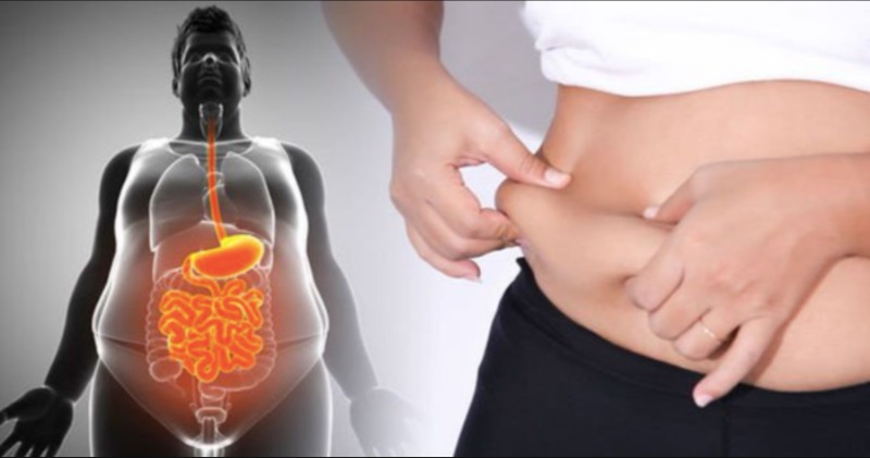 HomeKreation_'s tweet photo. Unlock the Science of Effortless Weight Loss - No Sweat Required: Our latest study exposes the startling truth - a minor daily change can dissolve stubborn belly flab. Join thousands who are already enjoying rapid, visible results. Don’t miss out - you can even try this tonight. https://t.co/SoiR8NQcfO