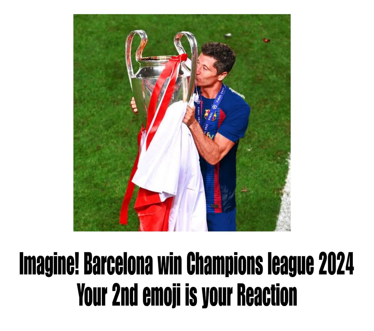 Berneese tweet media