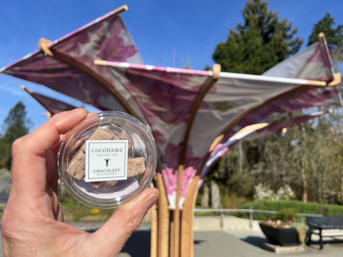 COCONAMA_CHOCO's tweet photo. We will be at Japan Fair, Sakura Festival at Vandusen Botanical Garden on 13th and 14th April🌸🍫😄
#japanfair #sakurafestival #sakuratreat #japanese ##coconama #chocolate #vancouver #glutenfree #nutfee #glutenfree #vegan #dairyfree #lowerlonsdsle #northshore #gift #chocolategift https://t.co/TPfVazTQhR