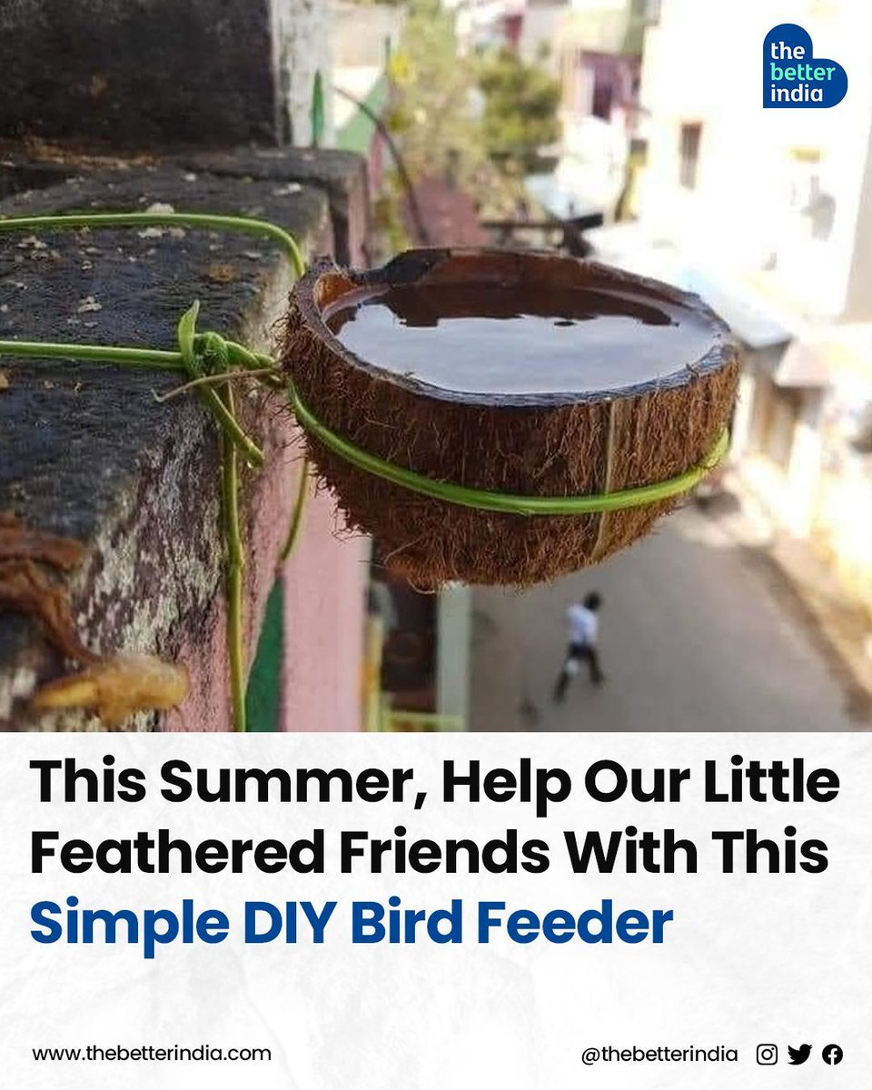 In this scorching summer heat when birds are desperately searching for water, why not make a small arrangement to provide them with some relief? 

Credits : Jatan Kumar Gurjar (FB) 

#BeatTheHeat #HelpBirds #BirdFeeder #Summers  #DIYBirdFeeder
#WildlifeConservation #India