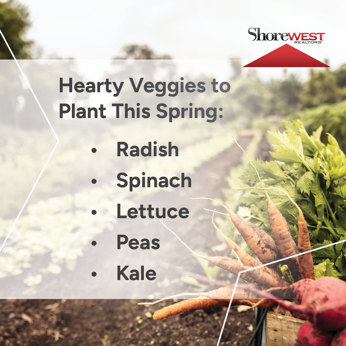 Get your garden started early this year with some fast-growing, hearty veggies! These plants can handle any weather that’s thrown at them and are the perfect way to get your garden kick-started. 

#HelloHomeowner
#Spring2024
#ShorewestRealtors 
#Gardening