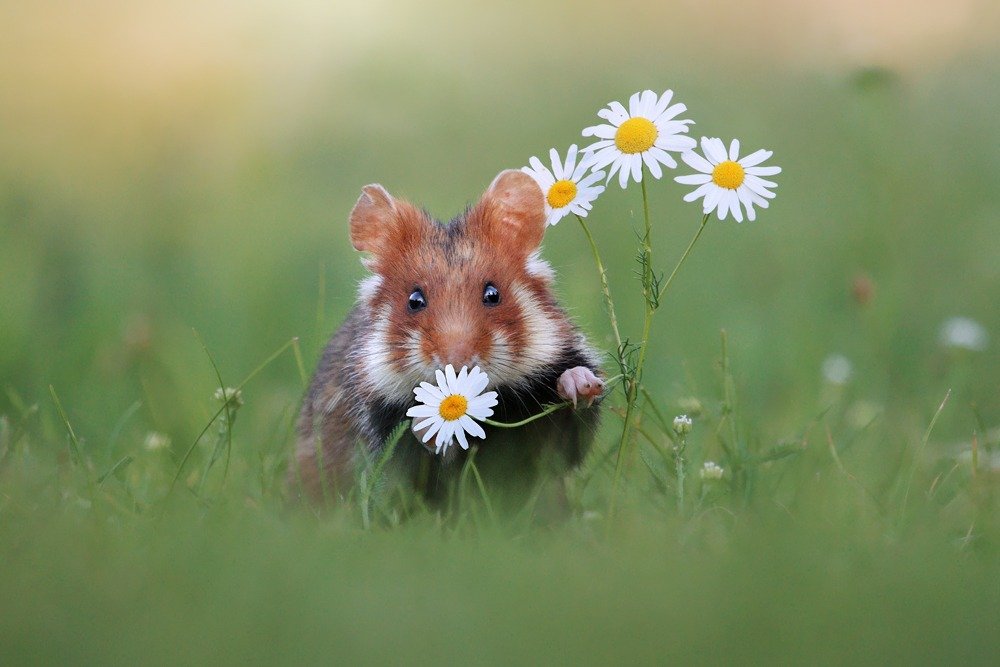 SPRING IS EVERYWHERE SMELL IT IN THE AIR FROM THE GRASS FROM THE TREES FROM THE FLOWERS BRINGING BEES FROM THE EARTH FROM THE LEAVES WHEN THEYRE BURNING WAFTING BREEZE COME WITH ME TAKE MY HAND WALK WITH ME ALONG THE SAND SMELL THE SMELL FEEL THE FEEL TIME 4 NATURE 2 FULFILL