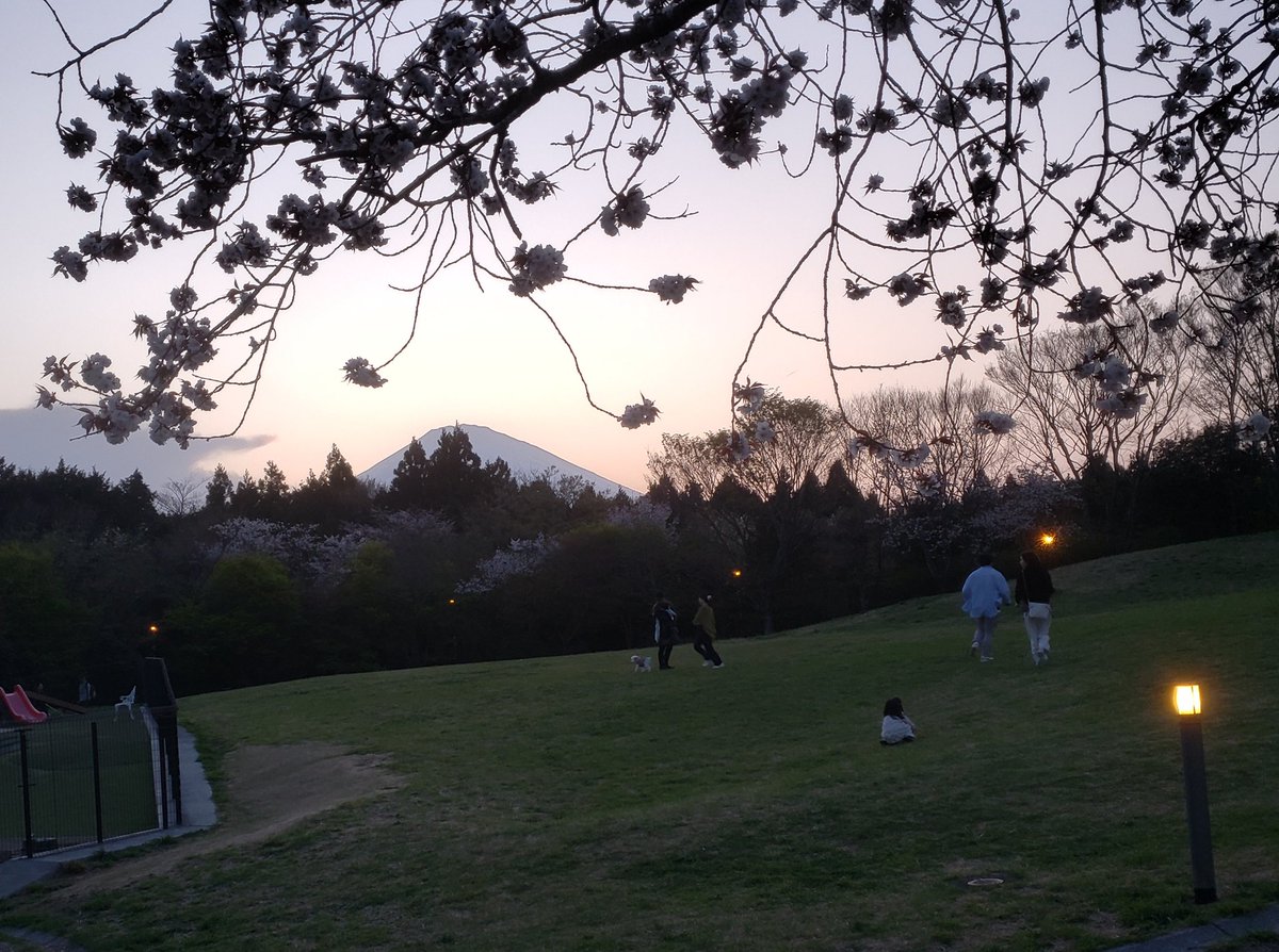 _OLIVE_POTATO_'s tweet photo. 函南ゲートウェイでの３日間
ご来店くださった方々ありがとうございました
初日は大雨になりましたが、土日はとても天候にも恵まれてたくさんの方に来ていただけました
また来たいって懇願したので、次回の開催も参加できたら嬉しいです
#芋フェス函南ゲートウェイ https://t.co/zq4qK3Sj6l