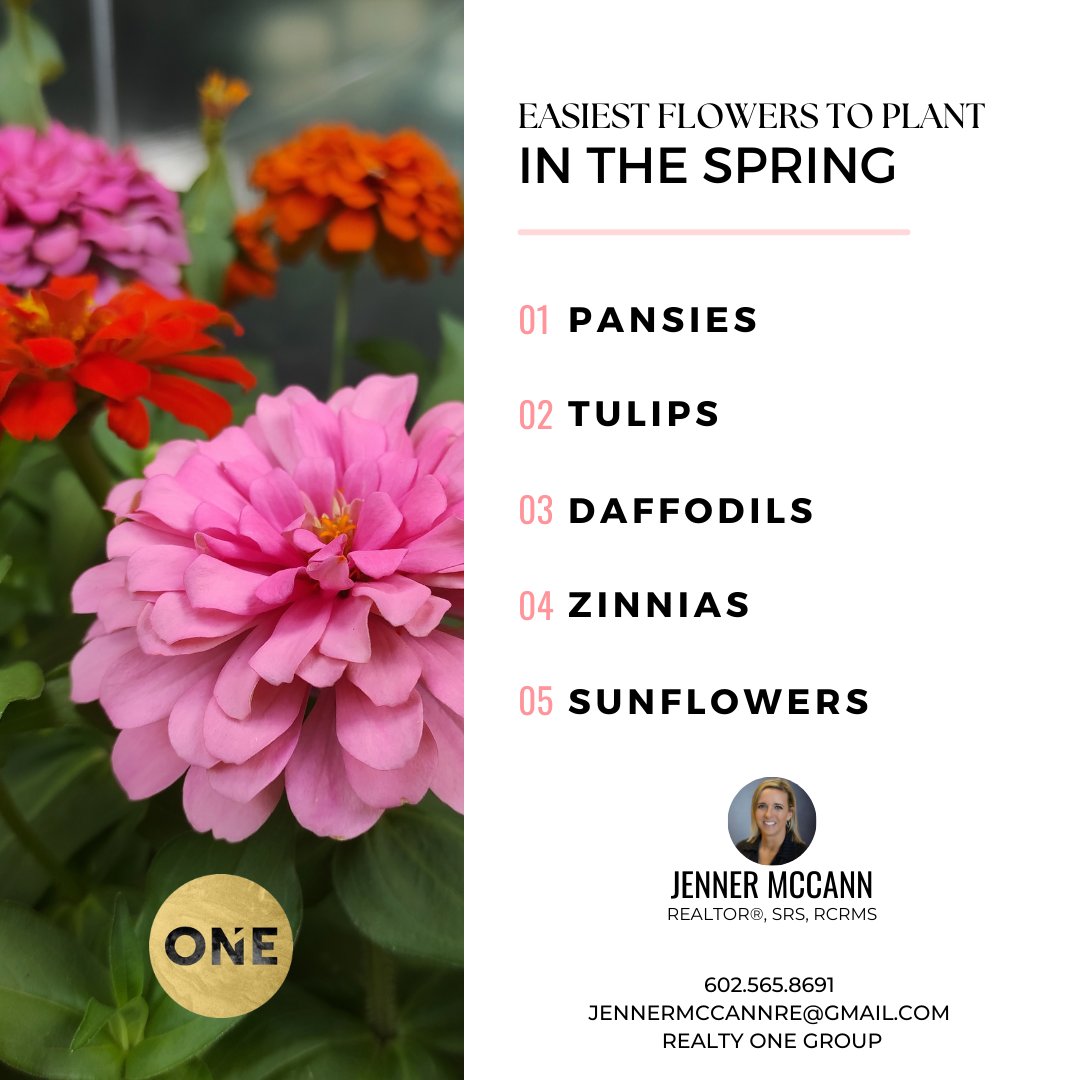 JennerMcCannRE's tweet photo. ๐ชป๐ต๐๐๐๐๐๐๐ ๐ฎ๐๐๐
๐๐๐๐๐ ๐ซ๐๐ ๐ท
Finding the right plants for your garden is hard enough when you live in a temperate climate, but finding ones that thrive in extreme heat can be a lot harder. #MoveWithMcCann #NationalGardeningDay #ArizonaGardening https://t.co/Q5xXXQpRBC