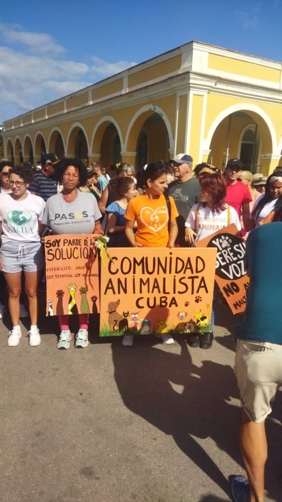 FiloProtector's tweet photo. Mi gente este año no pude ir por razones obvias pero hoy se marchó, se peregrina, y se celebró el día del "perro" en Cuba 
#NoAlMaltratoAnimal https://t.co/g3eTVJH8qc
