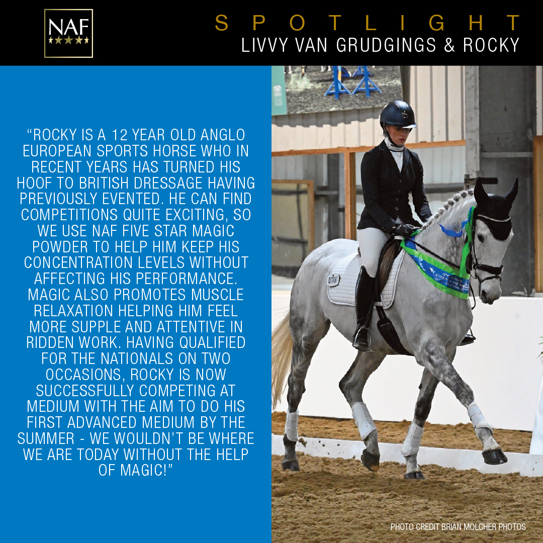 In the #NAFSpotlight today are Livvy van Grudgings and Rocky who are fans of our NAF Five Star Magic. #FiveStarReview #RealRiderReview