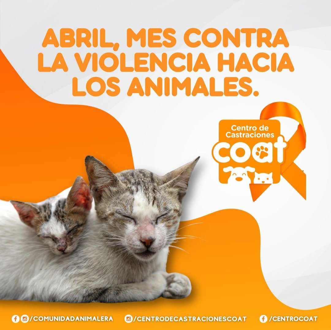 ¿Sabías que abril es el mes contra la violencia hacia los animales? 🐾 ¡Tú puedes ser parte del cambio!

Rescatar, adoptar y castrar a tu animal de compañía para evitar la sobrepoblación, y participando en campañas de concientización sobre bienestar animal 🐾