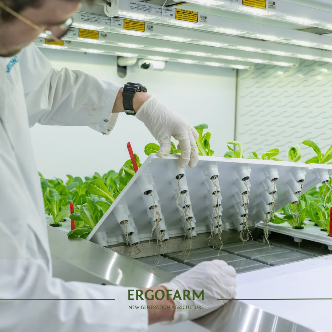 🌱 ErgoFarm ile bitkileriniz için optimum yetiştirme deneyimini keşfedin!

#ErgoFarm #VerticalFarming #SustainableAgriculture #SoillessFarming #InnovativeFarming #OrganicFarming #FutureFarming #Sustainability #DikeyTarım #SürdürülebilirTarım #TopraksızTarım