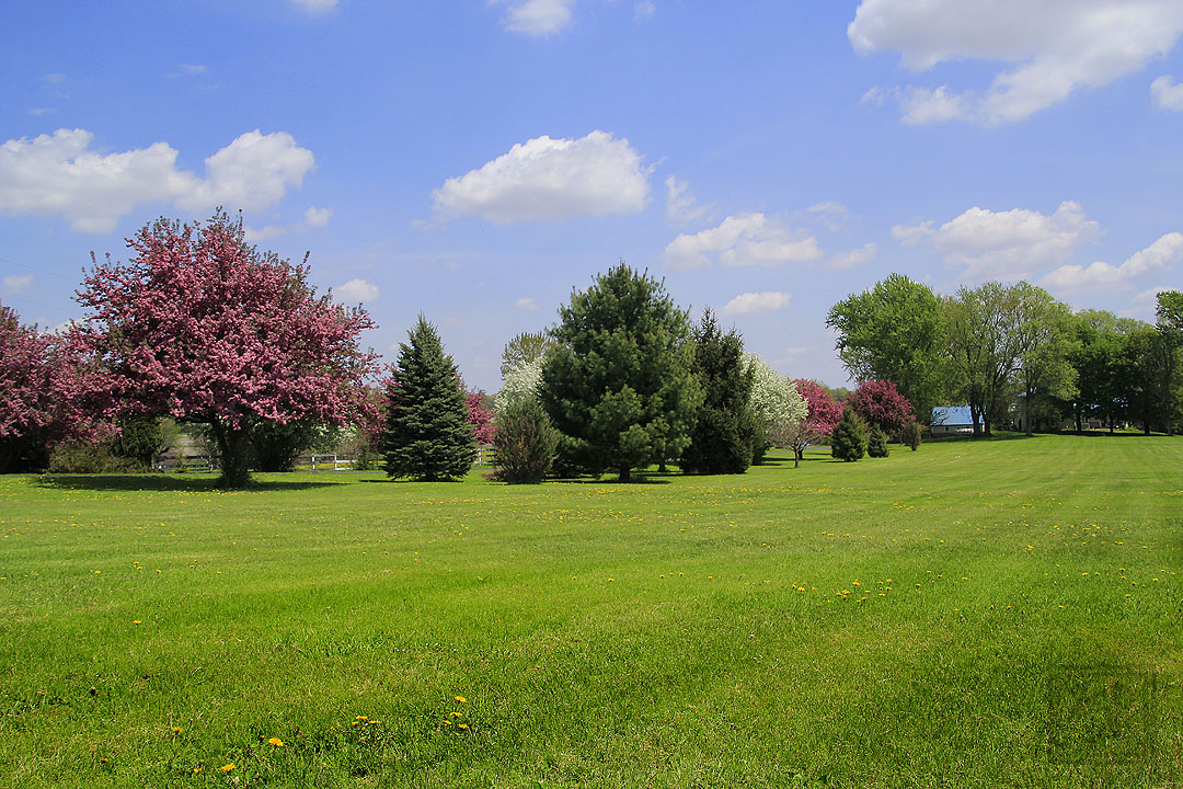 Standing in my dad's golf area photographing the #CrabAppleBlossoms (5-15-2019) #KevinPochronPhotography #kjpphotography #Canon #CanonFavPic #ShotOnCanon #Canon60D #Photography #NaturePhotography #Nature #tree #Blossoms #grass #field #sky #Clouds #spring #Wisconsin @CanonUSA