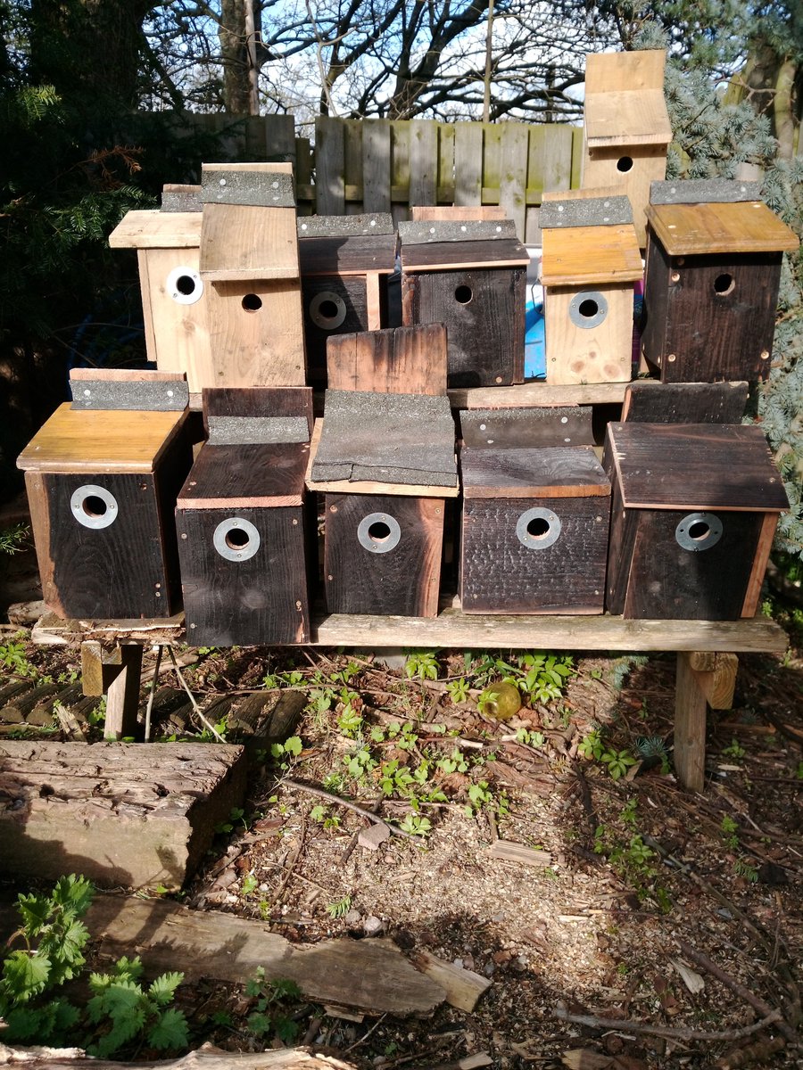 Bird box building at @BridgendFarmhse for @friendsinchpark to put up in Inch Park. A community collaboration. We built 12 boxes over the day and will be putting them up soon.