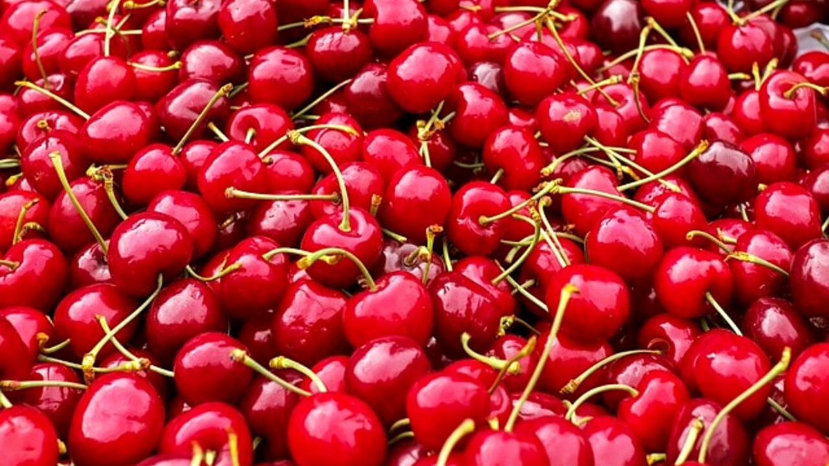 sta arrivando il periodo dell’anno in cui si mangia la frutta più buona esistente sulla faccia della terra