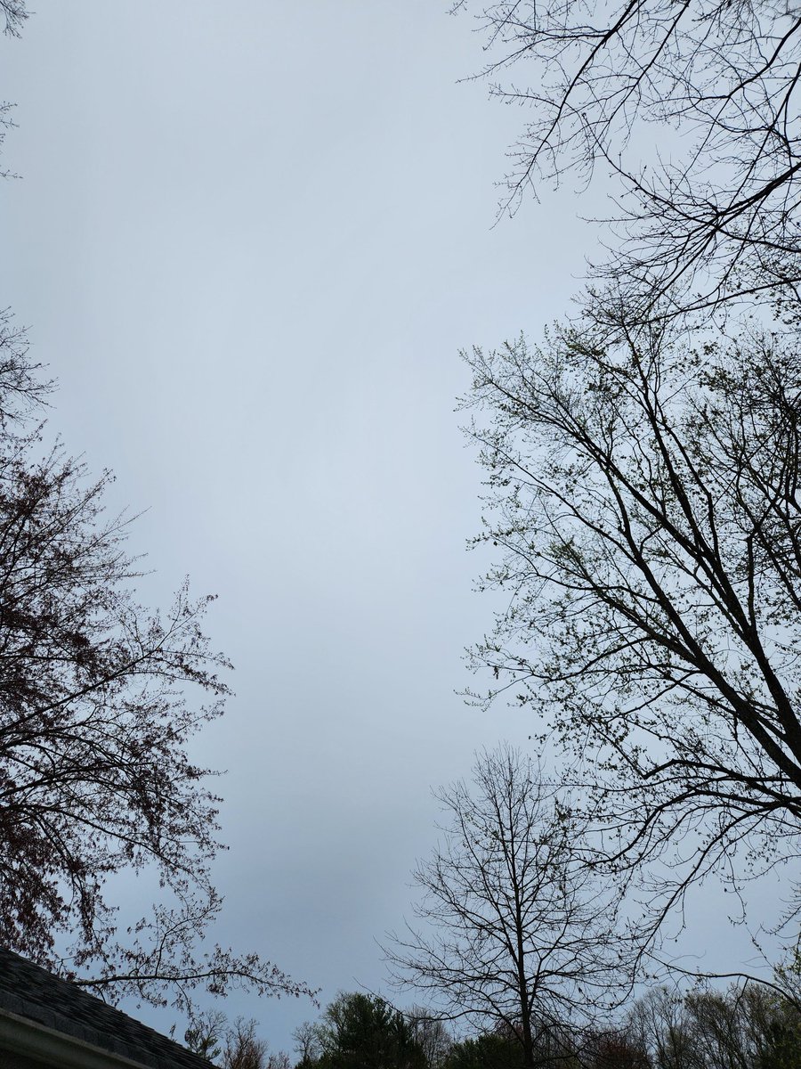 Pay your taxes, keep your head down, and your mouth shut 😒