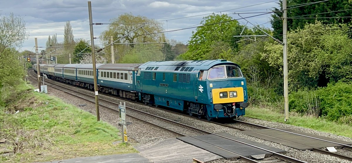 Thought I'll go and see the class 52 locomotive 😁 Here is D1015 passing Canley on its way to Birmingham New Street from London Paddington #Class52