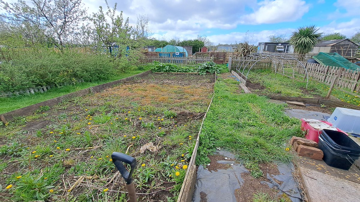 Busy day getting the allotment summer ready, boy it's hard going sometimes but the outputs will be worth it. Just waiting for Ross to rotavate the beds then the weeds picking will start. May not be moving well tomorrow though 😱😱