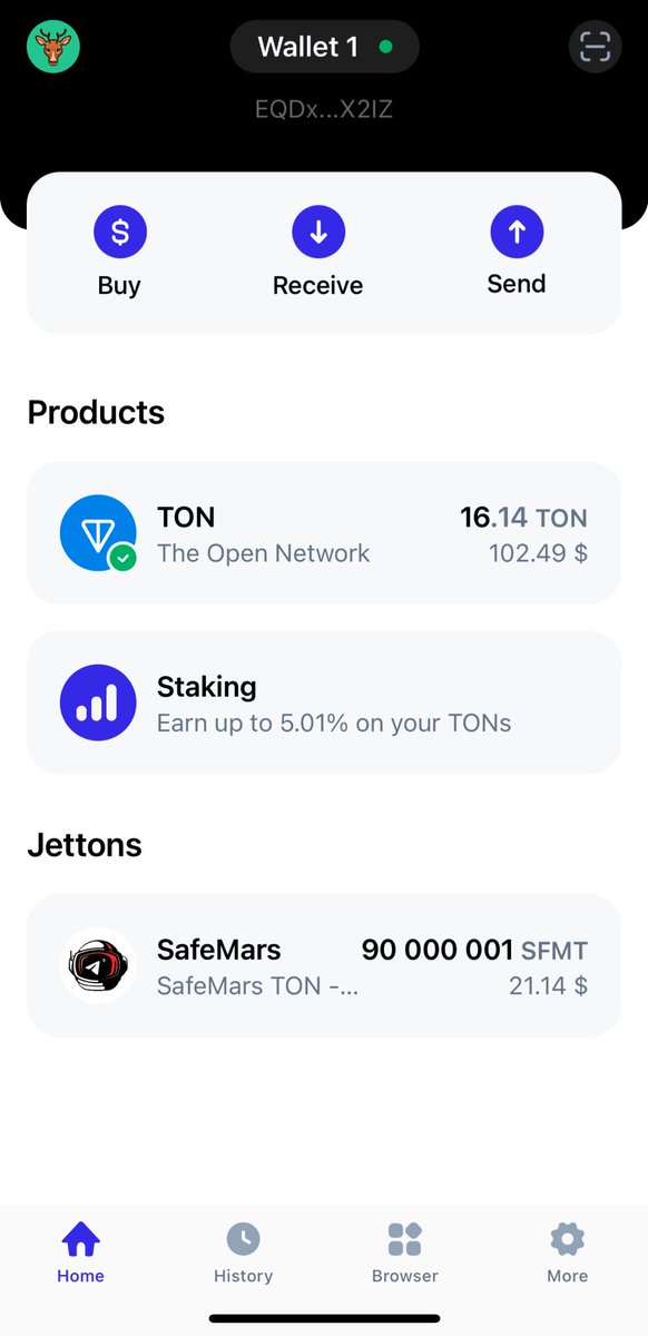 SafeMarsTon tweet media