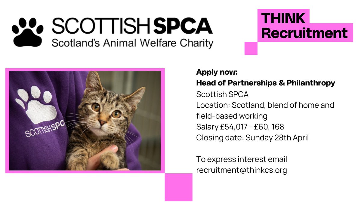 Apply now: Head of Partnerships & Philanthropy @scottishspca  👉Scotland, blend of home and field-based working  👉£54,017 - £60,168  👉Closing Sunday 28th April  To express interest please email recruitment@thinkcs.org #charityjob #vacancy #recruitingnow