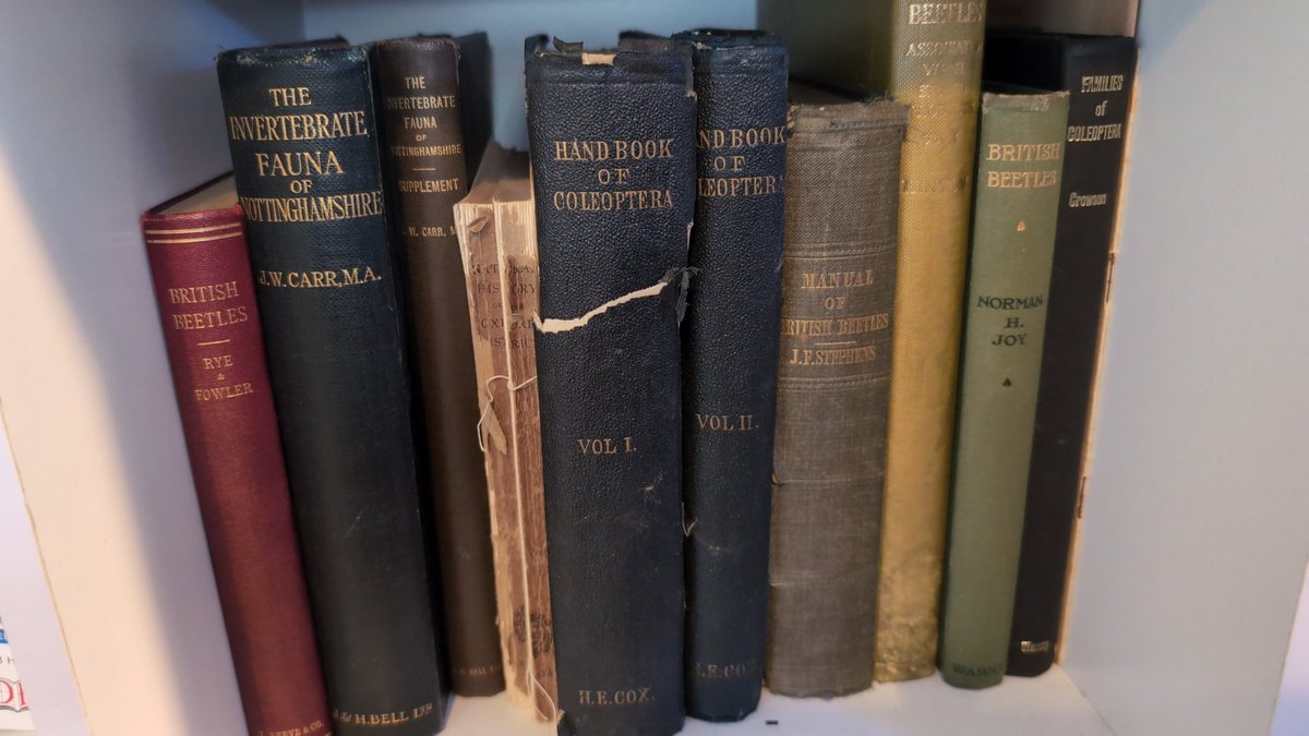 Some of my most prized possessions. Hours of reading pleasure. The two Joy vols sit on the shelf above.