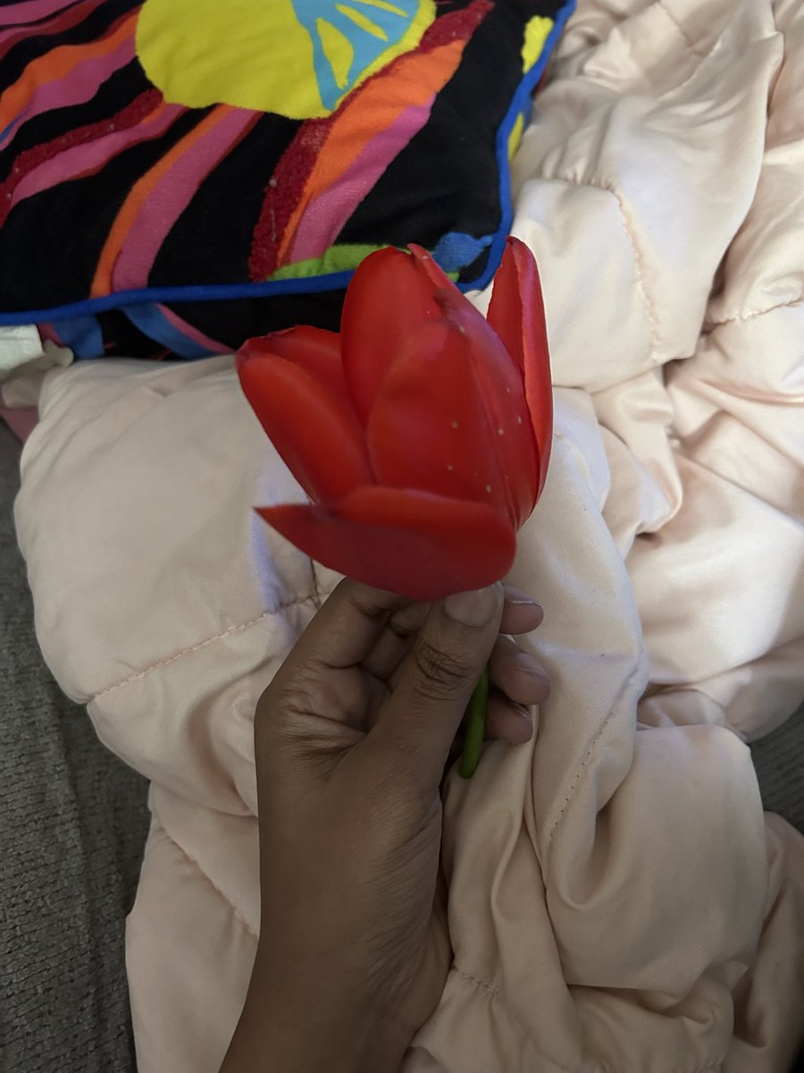VistaManista's tweet photo. My daughter picked this flower for me…. It’s so beautiful and it smells like candy..thank you Zari 😘😘😘 https://t.co/TGkSmx2M5g