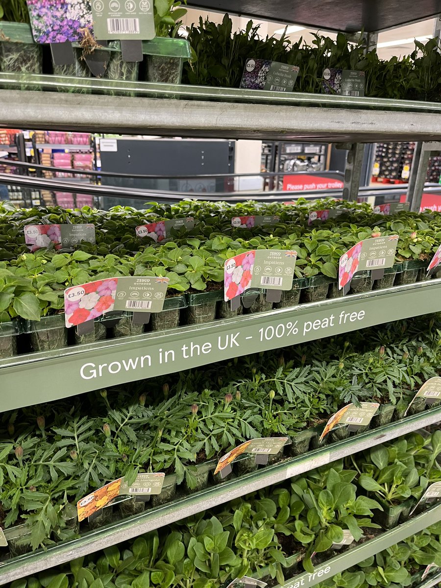 Great to see @Tesco leading the way with 100% peat free bedding plants looking good. True Leadership