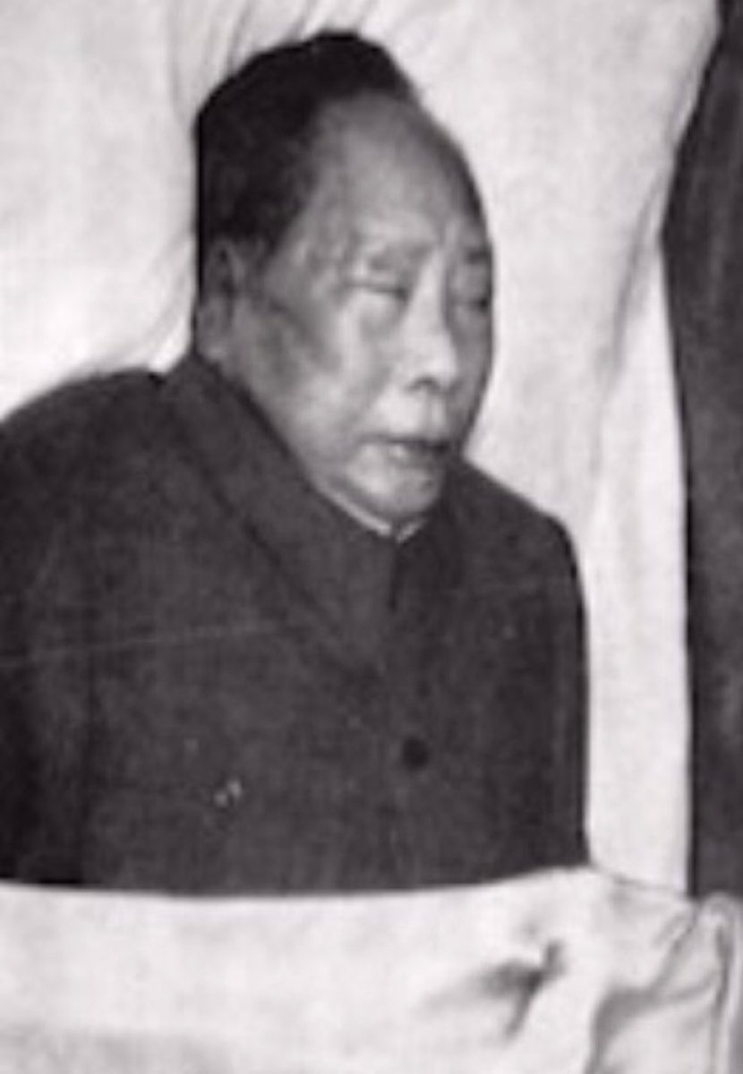 悉尼閑人 tweet media