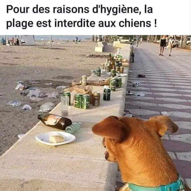 AdeaClaude's tweet photo. Cherchez l’erreur 🤔 https://t.co/yXoHVAqhOp