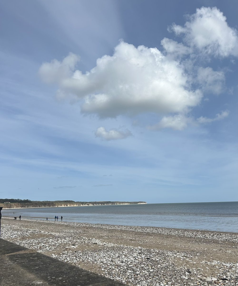 Clara Cluck tweet media