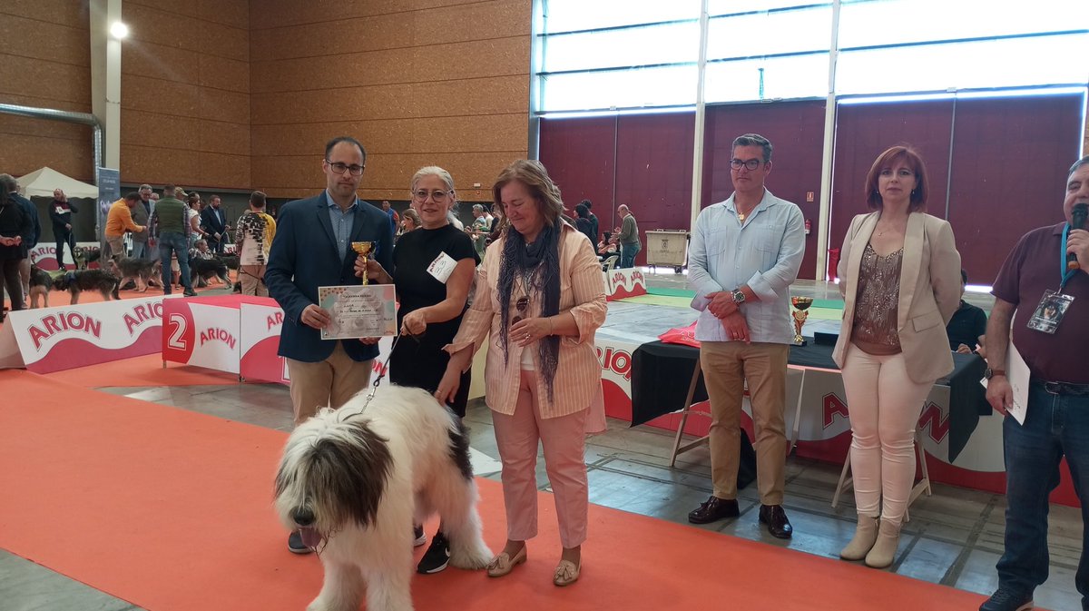 TalaveraFerial's tweet photo. Best in show, en pasarela canina #expocanina #talavera https://t.co/AXOax0TXrJ