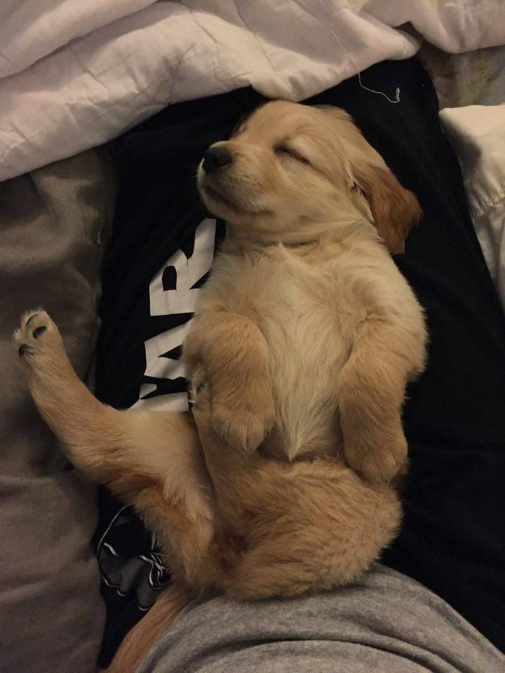 Animal_fanlover's tweet photo. https://t.co/jQViQ3dJYj