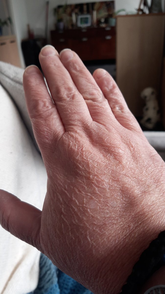 Momma Wolf 🐺x tweet media