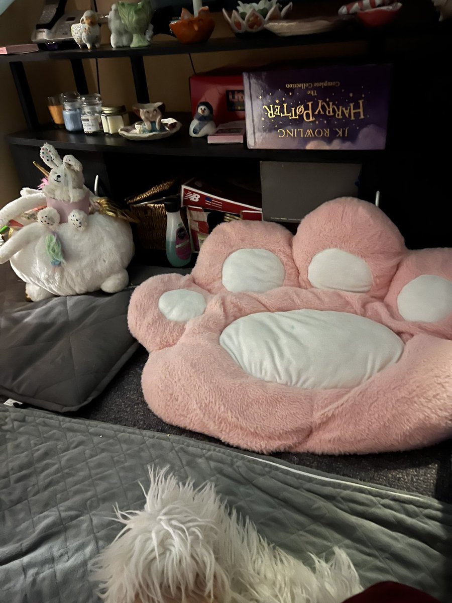ESL_fairy's tweet photo. A mighty fort has taken over our living room. Orange Tabby has now claimed it as his own. #FortLife #SquattersRights https://t.co/IOaVODz8tC