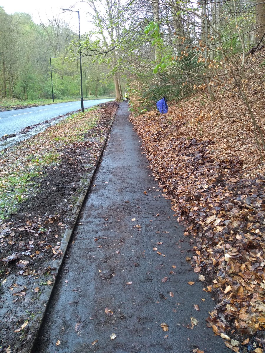 Friends of Gledhow valley woods volunteers working to make the footpath along Gledhow valley road more useable this morning. Hedge planting and litter picking also carried out. Thanks to everyone who took part.