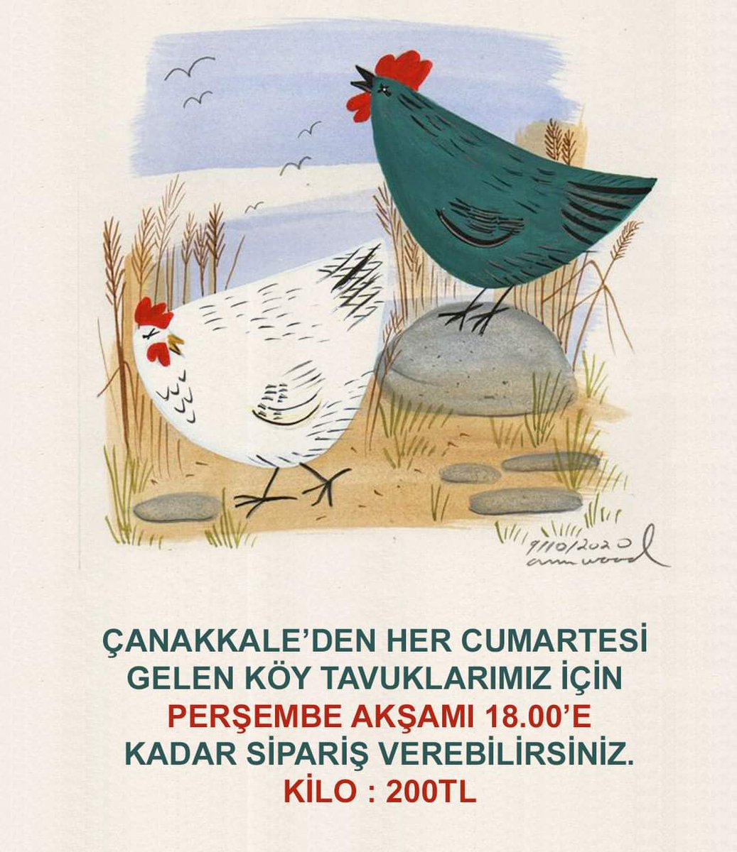 AmbarKomsu's tweet photo. Çanakkale'den her cumartesi gelen köy tavuklarımız için perşembe akşamı 18.00'e kadar sipariş verebilirsiniz. Kilo 200TL olup tavuklarımız 2-2,5 Kg civarında olmaktadır. 

Doğal tavuk etini hala bulup getirebiliyor olmamız çok kıymetli. Gerçek köy tavuklarının fiyatı 
+++ https://t.co/S6paBx8l3n