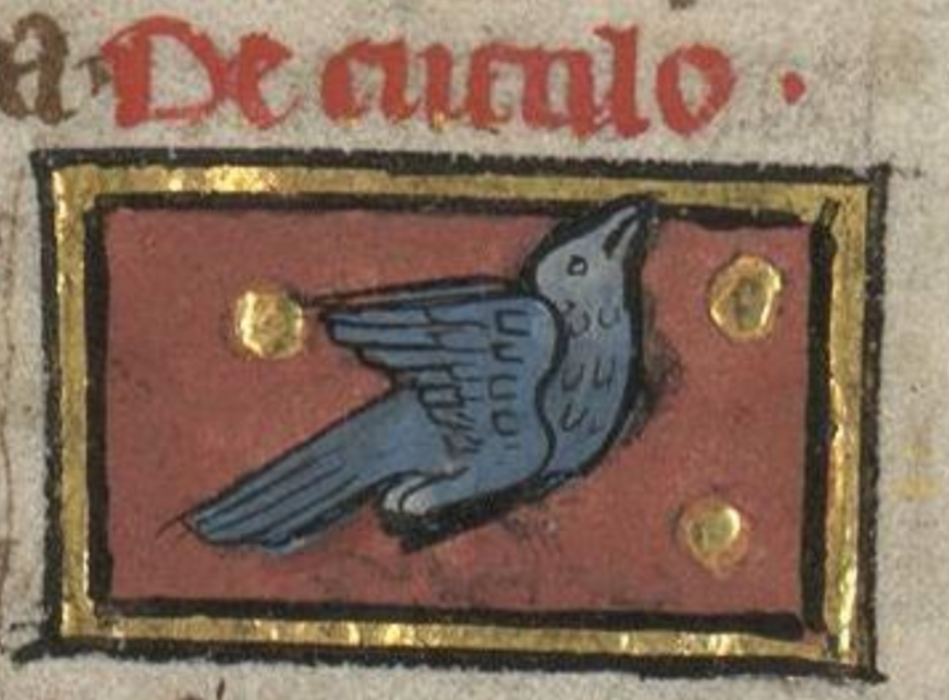 April 14 is traditionally 'Cuckoo Day', when (in Sussex folklore) people would listen out to hear the first cuckoo of spring. Today's Patreon post is about the cuckoo in Anglo-Saxon poetry, 'sumeres weard', the watchman of summer... patreon.com/posts/cuckoos-…