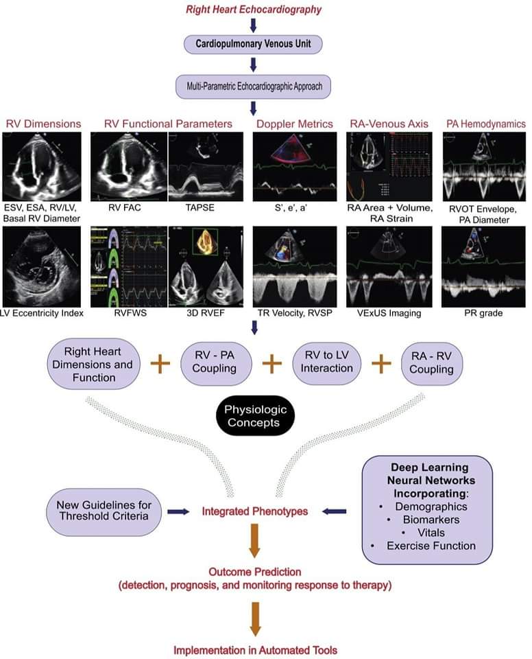 🔴 The Echocardiographic Evaluation of the Right Heart: Current and Future Advances

link.springer.com/article/10.100…
#Epeeps #CardioTwitter #EHRA2024
 #CardioEd #Cardiology #FOAMed #meded #MedEd #Cardiology #CardioTwitter #cardiotwitter #cardiotwiteros #CardioEd #MedTwitter #MedX