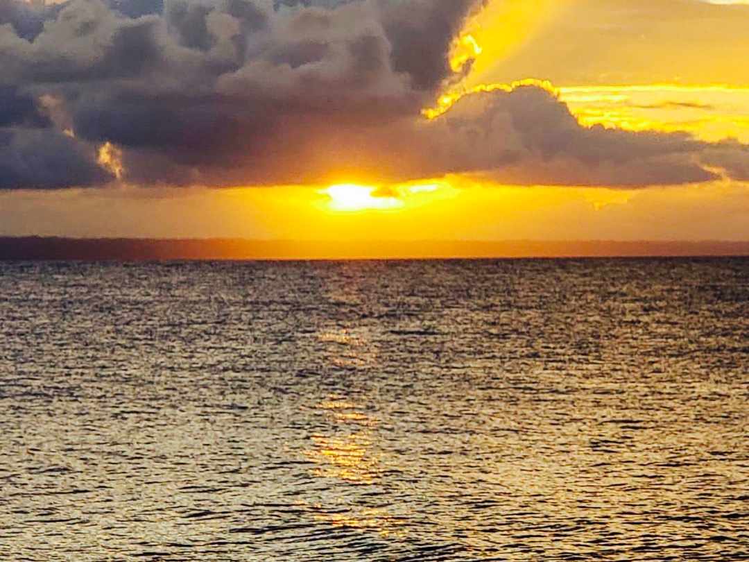 “La motivación es como el alimento para la mente. No puedes tener suficiente en una sola comida. Necesita ser alimentado continua y regularmente”. Peter Davies.