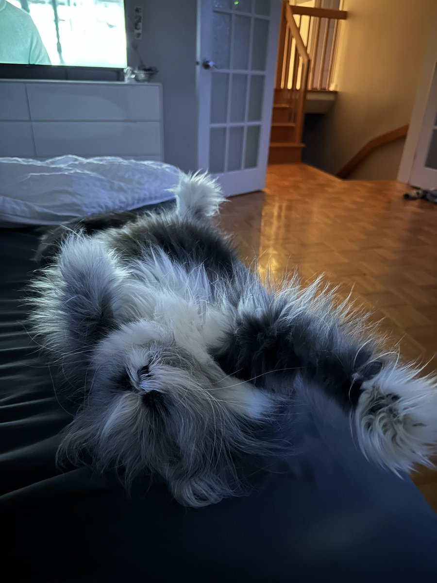 Me watching a movie with my best friend. ☺️  Him, 5 minutes after the start of the film. 😴  Moi, écoutant un film avec mon meilleur ami. ☺️  Lui, 5 minutes après le début du film. 😴