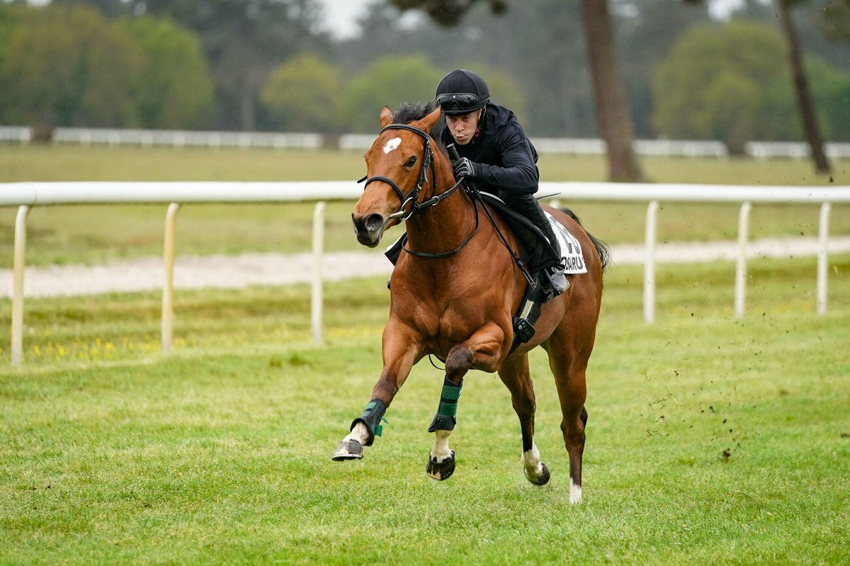🥇 𝐐𝐔𝐄𝐄𝐍 𝐎𝐅 𝐋𝐈𝐆𝐇𝐓 Easy win for QUEEN OF LIGHT #NightOfThunder @DarleyStallions at Moulins (maiden 1.000m) on her 2nd start for @anastasiawattel & @EnzoCrublet ✔ She was purchased by Etreham Exclusive from @McThoroughbreds at the #Osarus 2023 La Teste Breeze-up sale