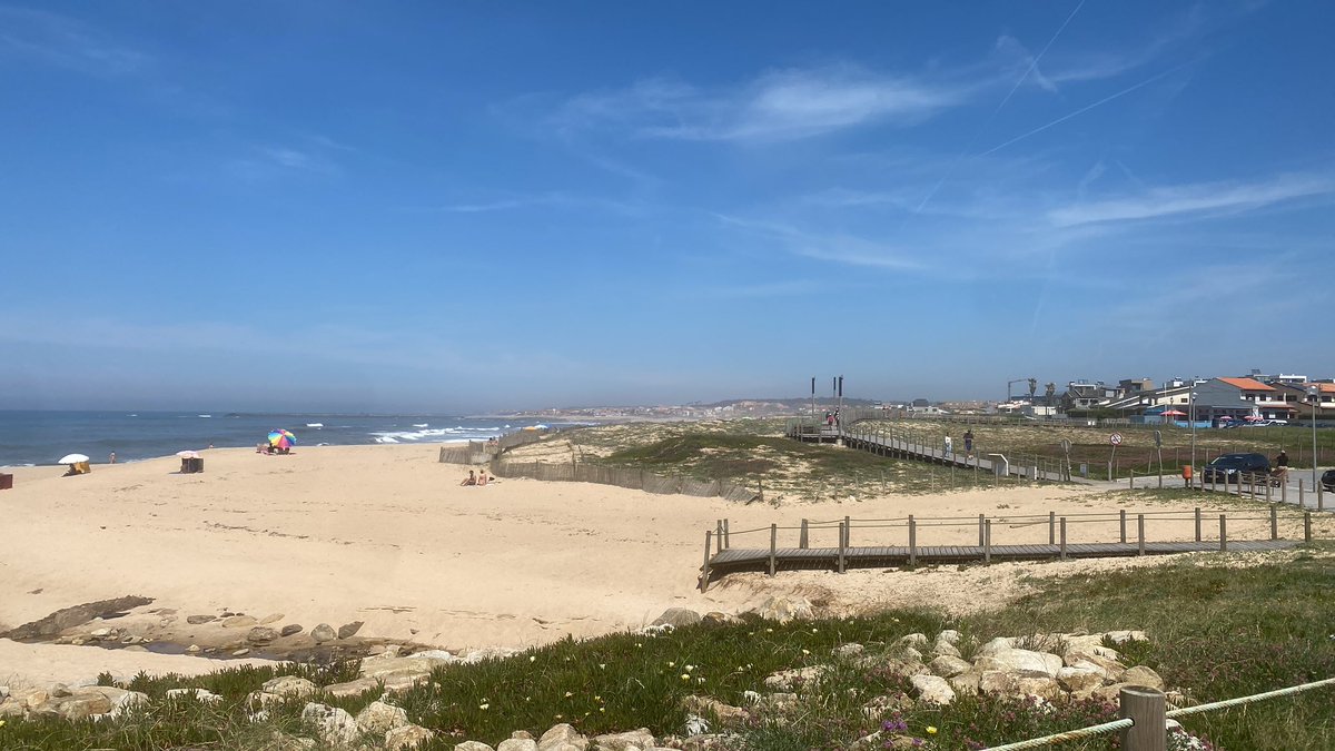 gm ☕️ Sea vibes 
Happy Sunday!! 

✅ $PARAM ✅ $COOKIE