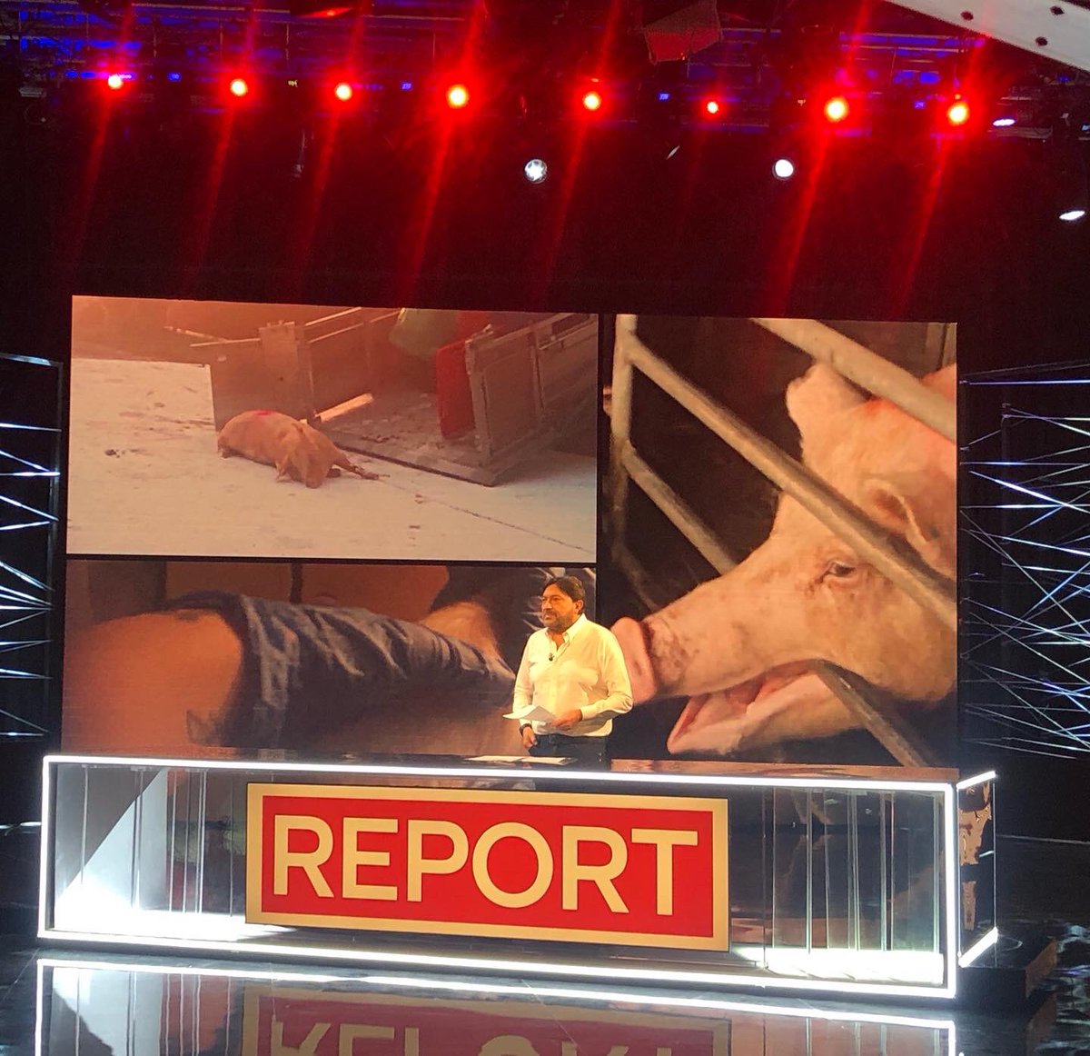 giuliainnocenzi's tweet image. Sono state cancellate le repliche estive di #Report. I membri di opposizione della Commissione di Vigilanza hanno denunciato che questa è una “scelta politica”. Facciamoci sentire, ci sono in ballo il servizio pubblico finanziato coi nostri soldi e la libertà d’informazione 🙏🏽