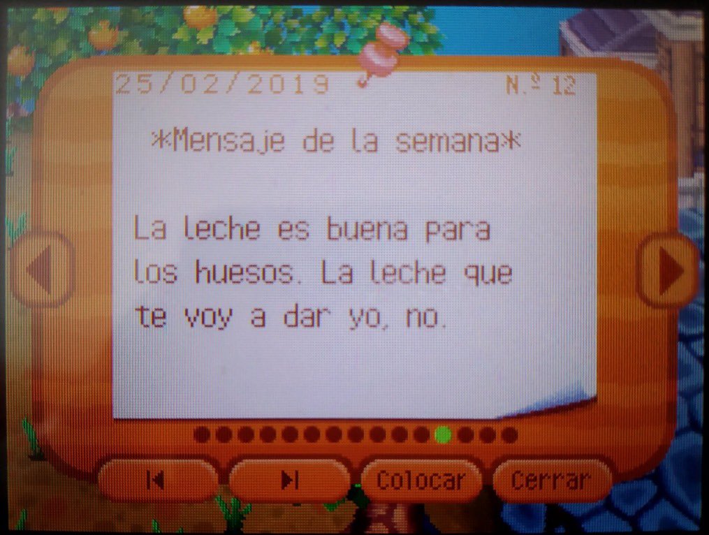 Si es verdad que se está desarrollando un nuevo Animal Crossing sólo pido que vuelvan las reflexiones del día y los mensajes de la semana