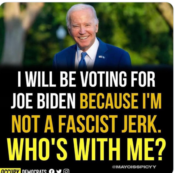 FFS VOTE BLUE 2024 (@frankfe11) on Twitter photo 