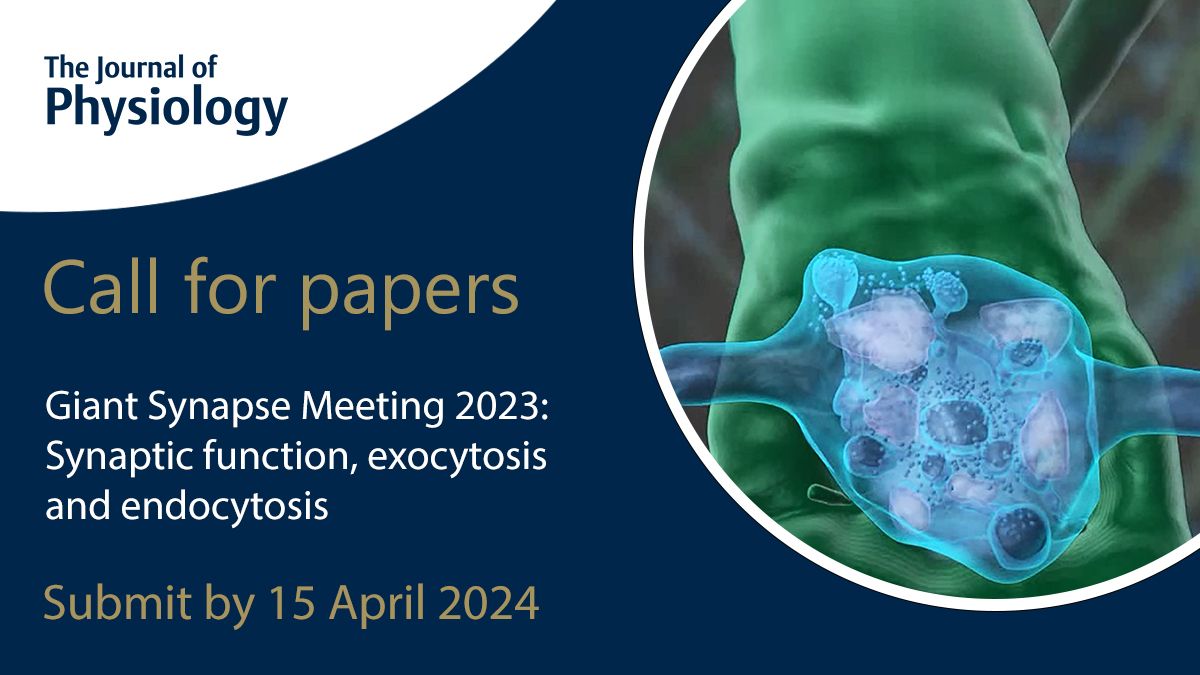 🚨CALL FOR PAPERS CLOSES TOMORROW🚨 The #CallforPapers for our 'Giant Synapse Meeting 2023: Synaptic function, exocytosis and endocytosis' #SpecialIssue closes TOMORROW! For more info on this Special Issue & how to submit, follow the link below 🔗buff.ly/41IE8O6