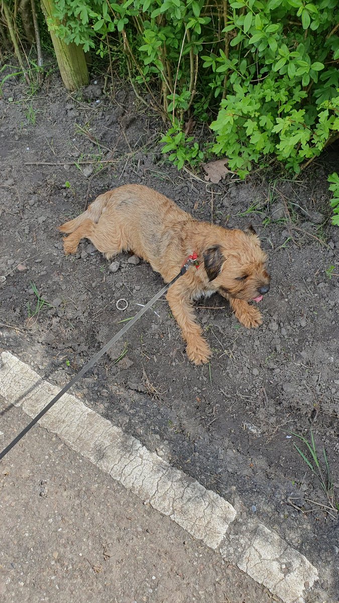 Really don't like warmer weather 😒 
#BTPosse #Rubeae #sundayvibes