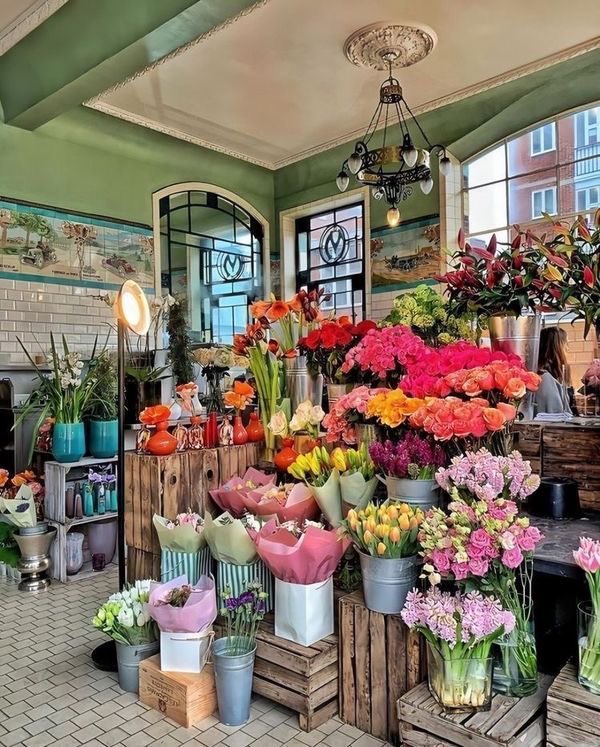 Diorgirlx's tweet photo. flowers https://t.co/FC2z6qhdfS