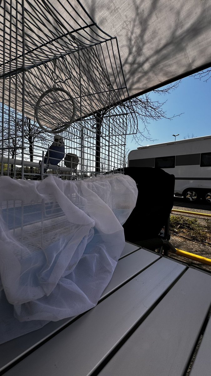 hellicopterman's tweet image. 